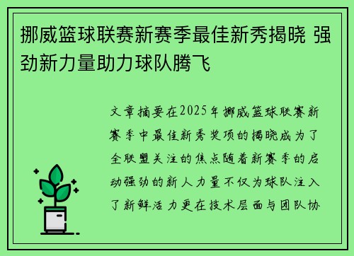 挪威篮球联赛新赛季最佳新秀揭晓 强劲新力量助力球队腾飞